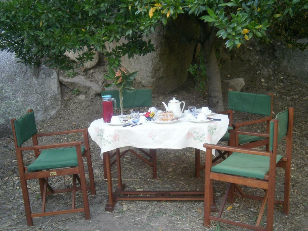 La Collina Dei Ciliegi Bed & Breakfast Sarule ภายนอก รูปภาพ