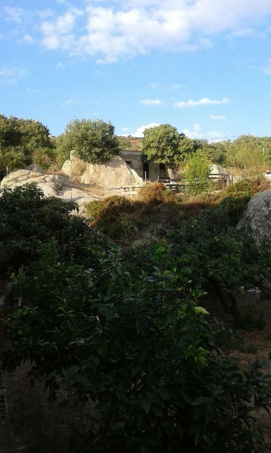 La Collina Dei Ciliegi Bed & Breakfast Sarule ภายนอก รูปภาพ